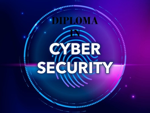 DIPLOMA IN CYBER SECURITY (D.C.S.)